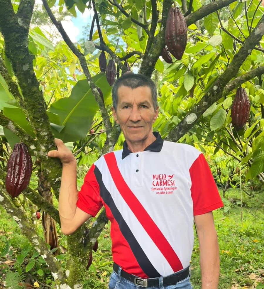 Orlando Enciso en el cultivo, entre árboles cargados de mazorcas de cacao
