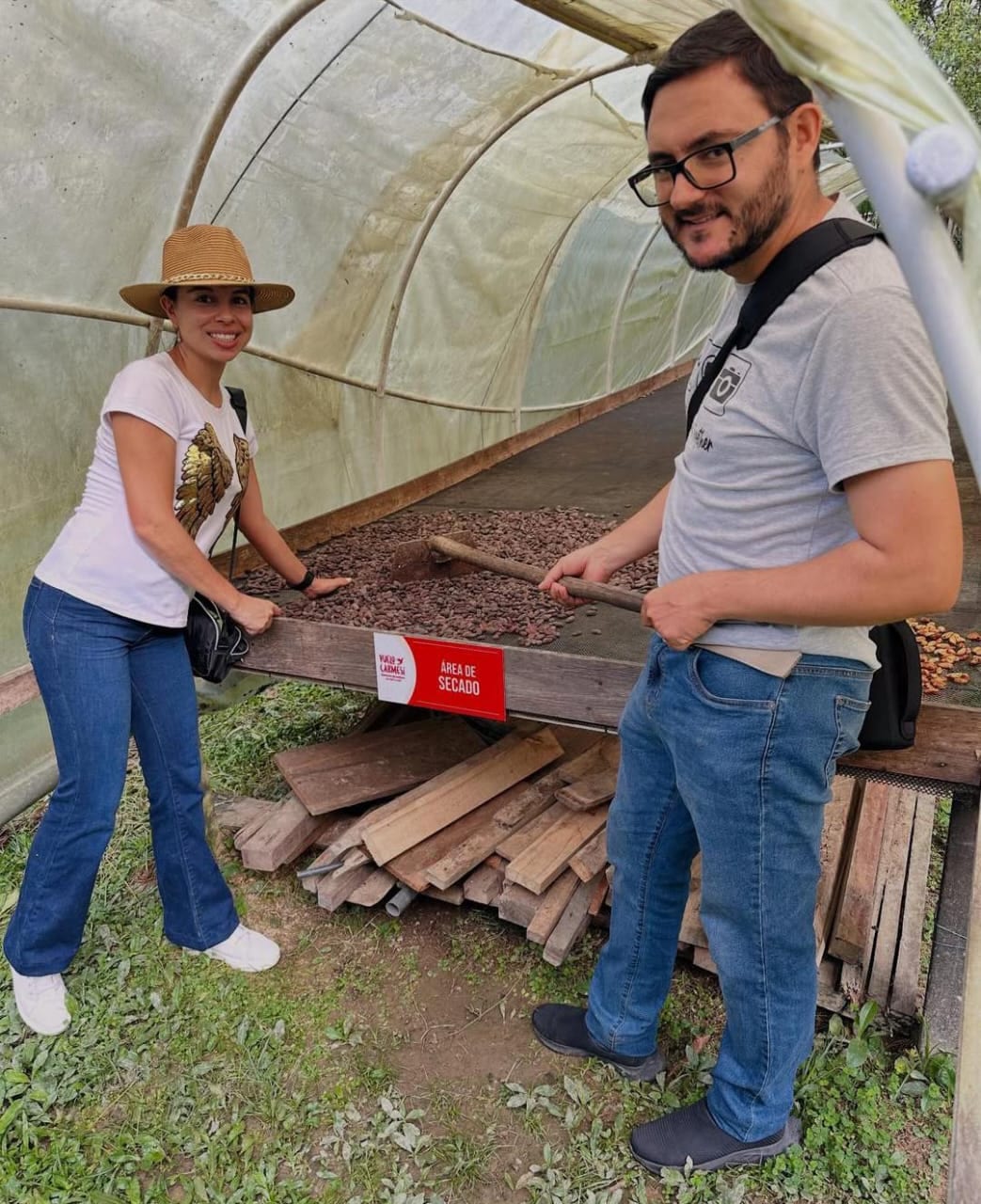 Grano de cacao secándose en la marquesina
